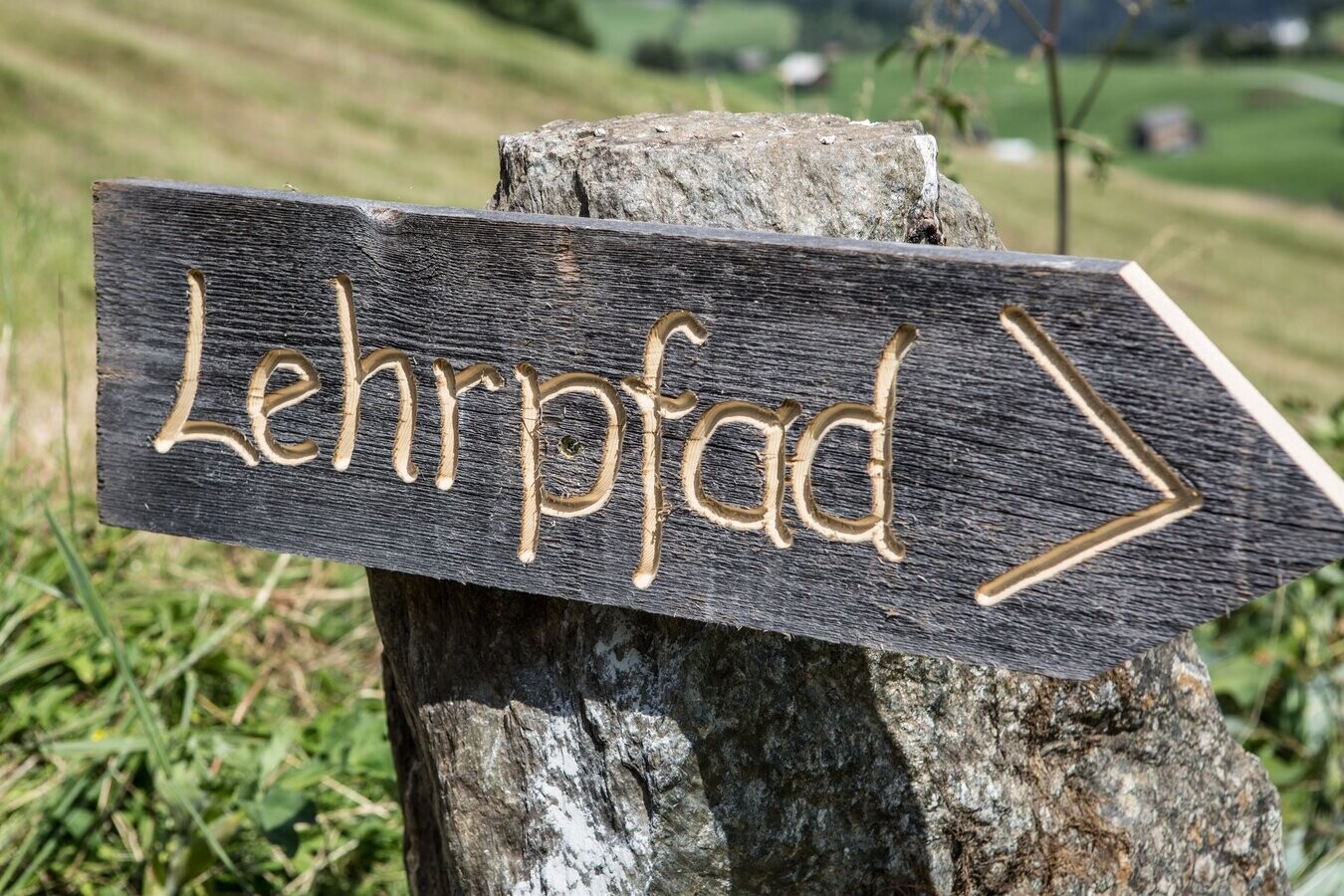 Lehrpfad Lehrpfad